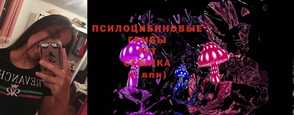 шишки Липки